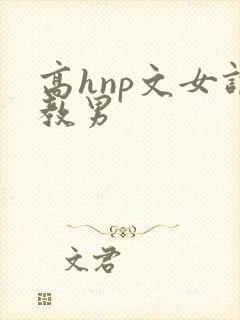 高hnp文女调教男