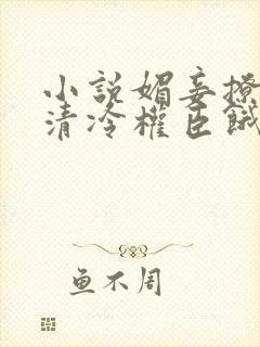 小说媚妾撩人,清冷权臣饿疯了全文封面