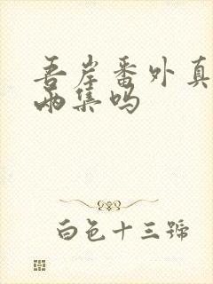 吾岸番外真的是两集吗