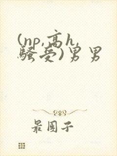 (np,高h,骚受)男男