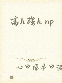 高h强h np