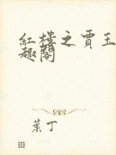 红楼之贾玉京笔趣阁