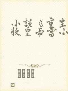小说《重生后我收皇帝当小弟》