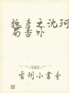 魏彦之沈珂大结局番外
