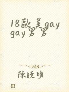18欧美gaygay男男