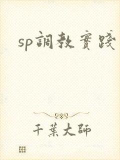 sp调教实践文