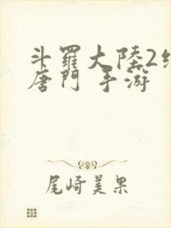 斗罗大陆2绝世唐门 手游