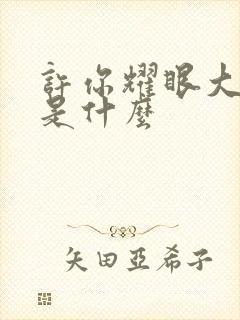 许你耀眼大结局是什么