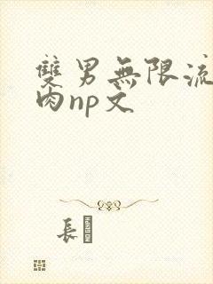 双男无限流h啪肉np文