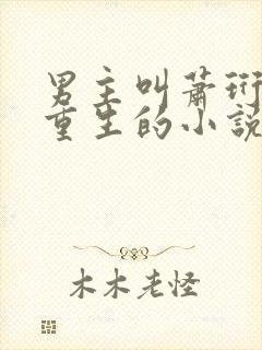 男主叫萧珩女主重生的小说封面