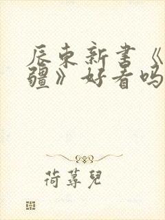 辰东新书《夜无疆》好看吗