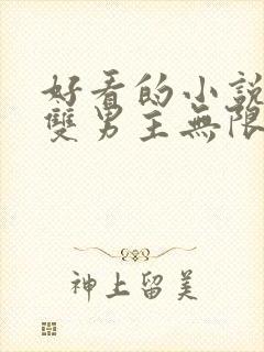 好看的小说推荐双男主无限流