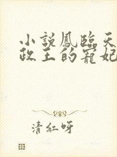 小说凤临天下摄政王的宠妃