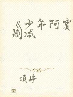 《少年阿宾》无删减封面