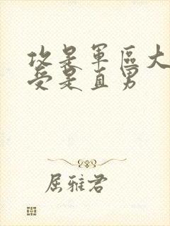 攻是军区大佬,受是直男