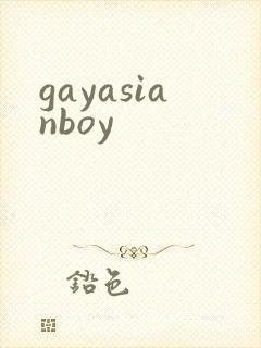 gayasianboy封面