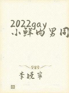 2022gay小鲜肉男同