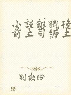 小说离职后我被前上司缠上了免费阅读全文
