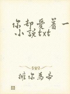 你却爱着一个他 小说txt