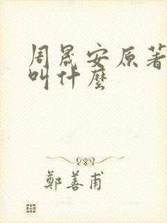 周晟安原著小说叫什么