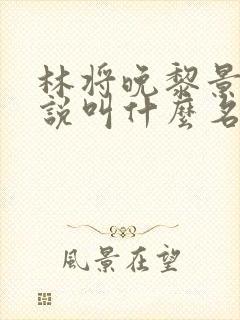 林将晚黎景珩小说叫什么名字封面