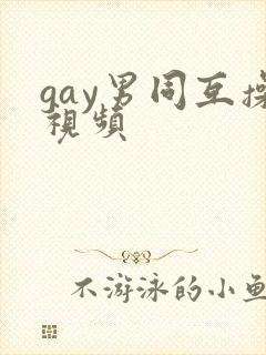 gay男同互操视频