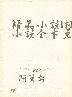 精品小说|极品小说全本免费阅读