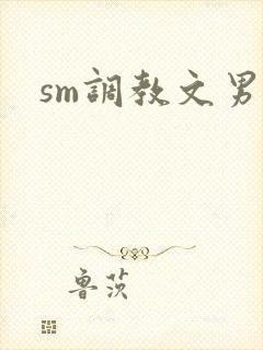 sm调教文男男