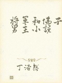 将军和佛子的双男主小说
