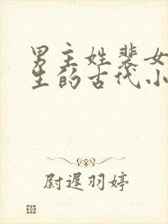 男主姓裴女主重生的古代小说