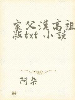 家父汉高祖精校版txt 小说