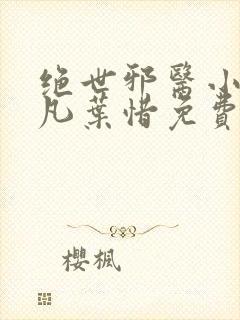 绝世邪医小说林凡叶惜免费阅读全文