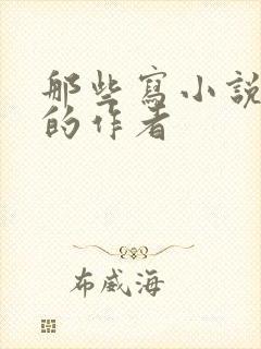 那些写小说进去的作者