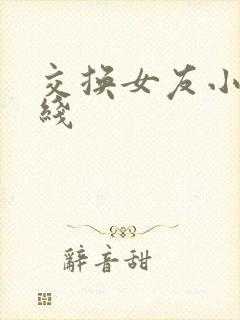 交换女友小说在线
