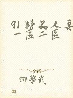 91 精品人妻一区二区