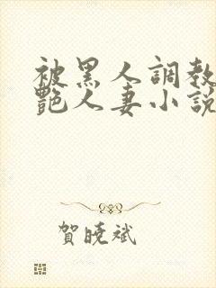 被黑人调教的冷艳人妻小说封面