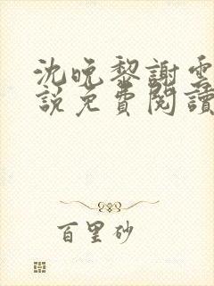 沈晚黎谢云迟小说免费阅读