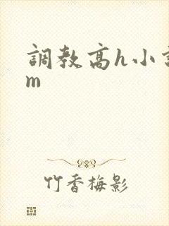 调教高h小说sm封面