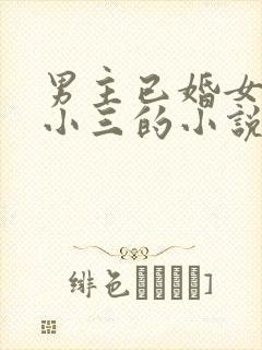 男主已婚女主是小三的小说