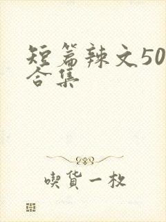 短篇辣文500合集