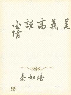 小说高义美红孙倩封面