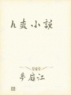 h爽小说