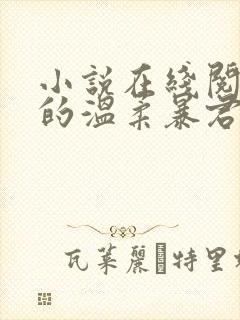 小说在线阅读我的温柔暴君