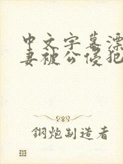 中文字幕漂亮人妻被公侵犯封面