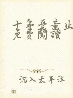 十年爱意止小说免费阅读封面