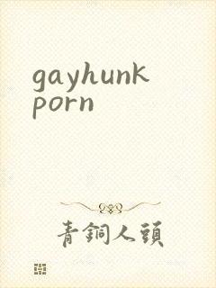 gayhunkporn