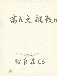 高h文调教np