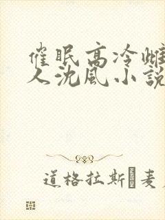催眠高冷雌坠美人沈风小说最新章节