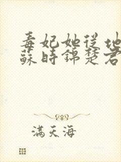 毒妃她从地狱来苏时锦楚君彻封面