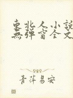 东北人小说免费无弹窗全文阅读